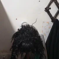 کلاه گیس