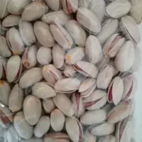 پسته اکبری