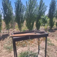 فروش-باغچه-662-متری