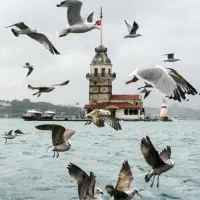 تدریس خصوصی ترکی استانبولی
