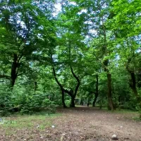 زمین وباغ انار