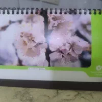 طرح نیلو فر  م هر ئه سینم و ئه فروشم م هر