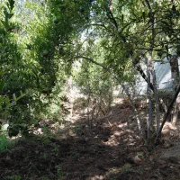 زمین باغی کنار باغ صدری لب خیابون اصلی تفت-شهداا