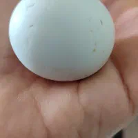 Lonosdalit الماس