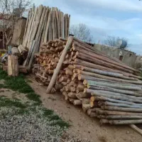 خریدو فروش چوب
