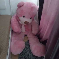 خرس بزرگ دومتری