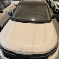 کیا سلتوس سقف مشکی