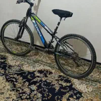 دوچرخه ۲۴ تنه بزرگ