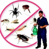 سمپاشی منازل تضمینی ساس سوسک بامجوز رسمی