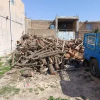 فروش انواع چوب خشک