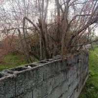 زمین-داخل-بافت-مسکونی-روستای-گشت-نزدیک-فومن