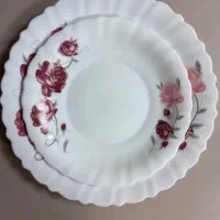 سرویس کامل پارس اوپال