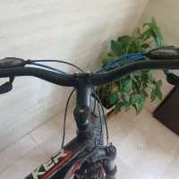 دوچرخه ویوا اصل