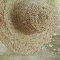 کلا افتابی