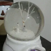 موزیکال