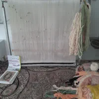 دار قالی|فرش|هشتگرد, شهرک ایران خودرو|دیوار