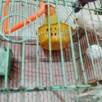 وسایل