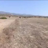 به یک کارگرزرنگ وکاری نیازمندم