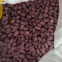 لوبیا قرمز