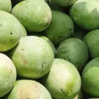 هندوانه درجه یک