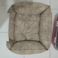 باکس و جای خواب سگ