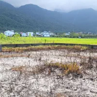 فروش زمین برای سرمایه‌گذاری