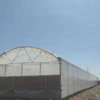 نصاب گلخانه