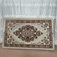 یک جفت پشتی