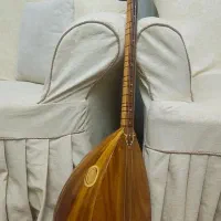 باغلاما دسته کوتاه