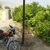 فروش باغ شهری هزار متری