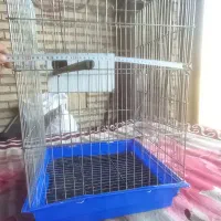 قفس پرنده