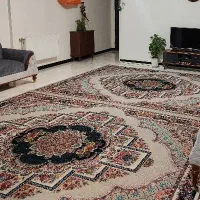 دوعدد فرش نه متری