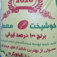 برنج عنبر بدون واسطه از کشاورز بخر بشرط پخت