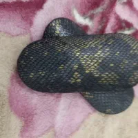 قلم بند فوتبال با پوست مار