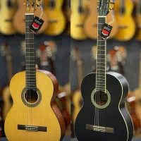 گیتار رنگهای متنوع زیبا    (موزیکال تیموری)