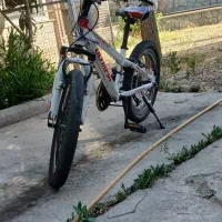 دوچرخه ویوا