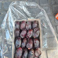 خرمایی مضافتی