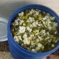 ترشی تازه خانگی