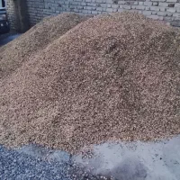 بذر باقالی