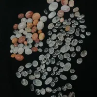 ۱۵۵ عدد در نجف بار خانه