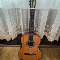 گیتار بست فان