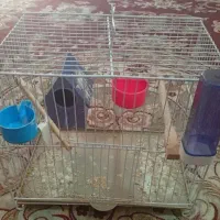 قفس با لوازم داخلش