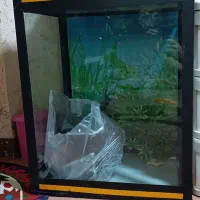اکواریوم