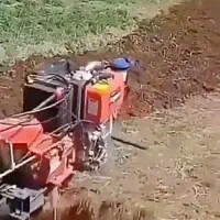 باغبانی علف زنی و تیلر زنی در تمام نقاط  مشهد