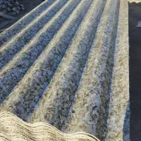 مرکز پخش شانیت سیمانی پلاستیکی