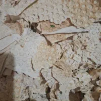نان خشک