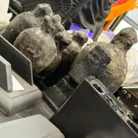 مفکات،شهاب،جیوه،روحانی