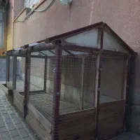 قفس