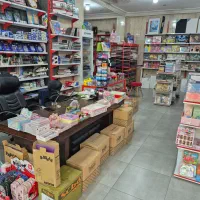 فروشنده نوشت افزار (خانم)