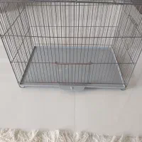 قفس قناری سهره طوطی عروس هلندی کوتوله